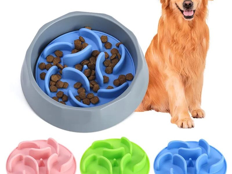 silicone-slow-feeder-dog-bowl:-an-effective-solution-for-healthier-pet